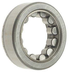 Brand New AS-NZ Roller Bearing