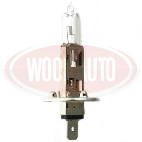 6V Halogen Bulb
